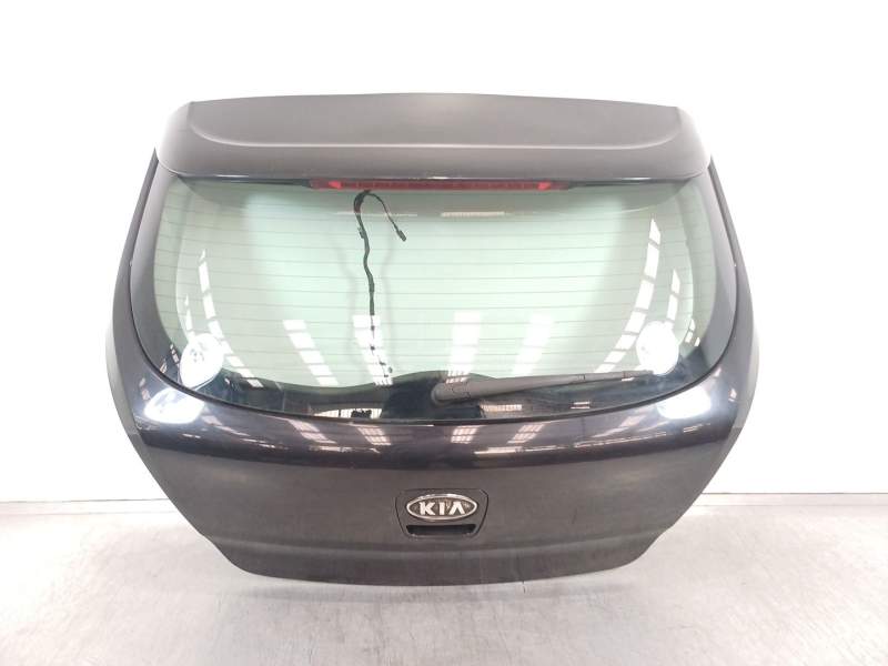PORTON TRASERO 737001H300 