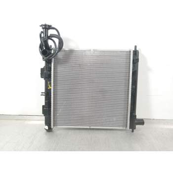 RADIADOR AGUA 25310G6000 