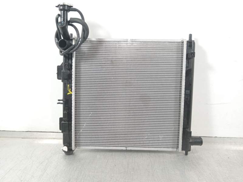 RADIADOR AGUA 25310G6000 