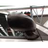 RETROVISOR DERECHO 46311000 4631100033 5074208AD