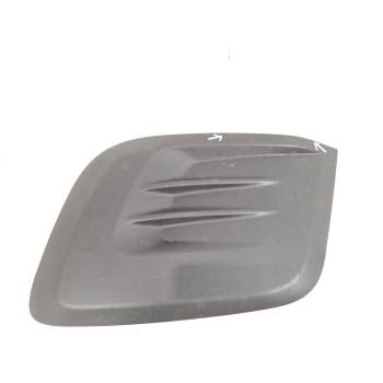 REJILLA PARAGOLPES DELANTERO 9810966177 99869850 