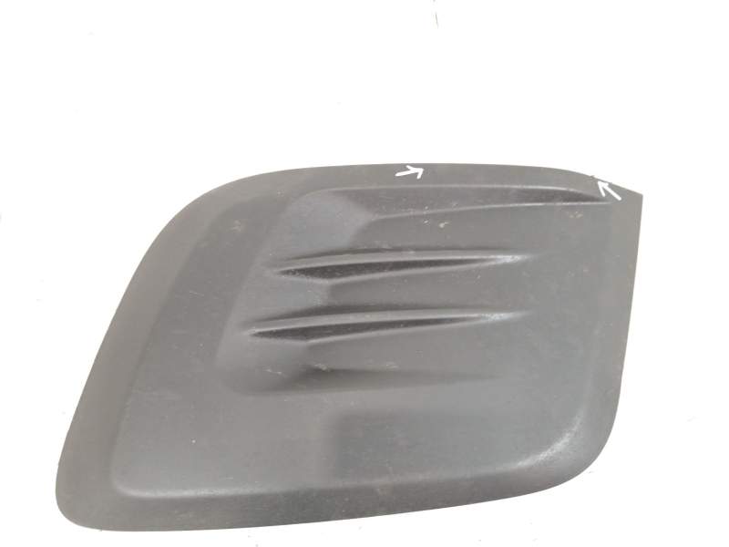REJILLA PARAGOLPES DELANTERO 9810966177 99869850 