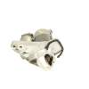 MOTOR ARRANQUE 233007970R 