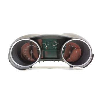 CUADRO INSTRUMENTOS 50555160 