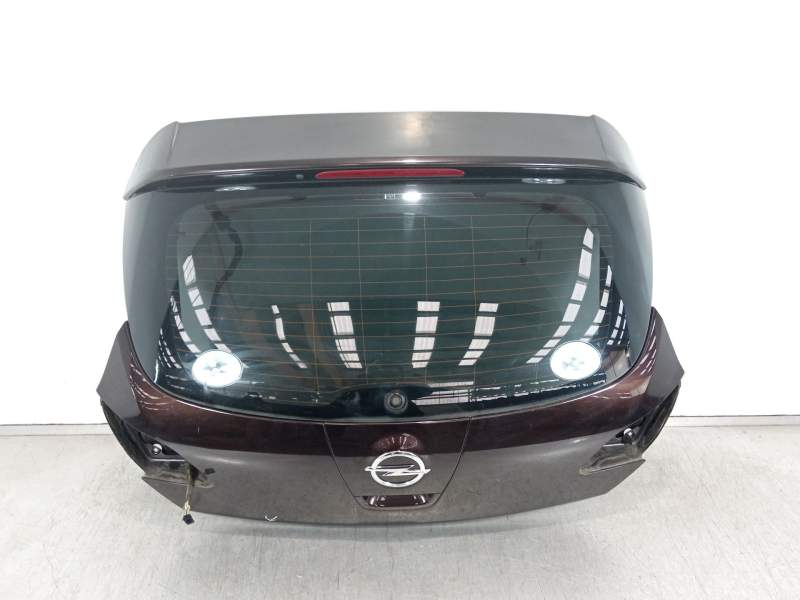 PORTON TRASERO 13372624 