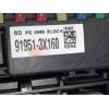 CAJA RELES / FUSIBLES 919513X160 