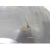 PARAGOLPES TRASERO 4F5807303A 