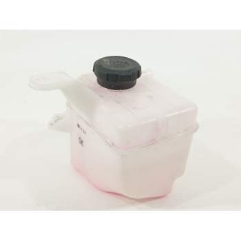 DEPOSITO EXPANSION 25430G6000 