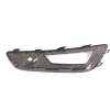 REJILLA PARAGOLPES IZQUIERDA F1EJ15A299A1 