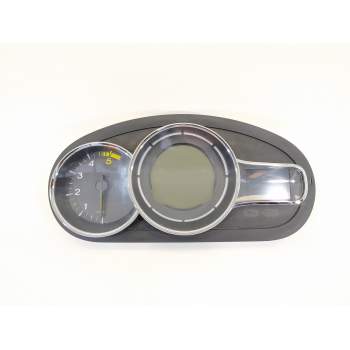 CUADRO INSTRUMENTOS 248100342R 