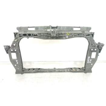 PANEL FRONTAL 641011W003 