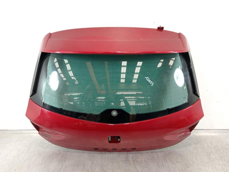 PORTON TRASERO 5F4 827 024 
