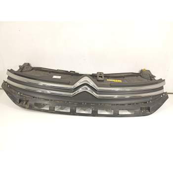 REJILLA DELANTERA 9812063477 