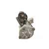 MOTOR ARRANQUE 8200317008 