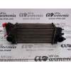 INTERCOOLER PCM100200 