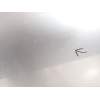 PUERTA DELANTERA DERECHA 801100009R 