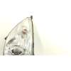 FARO DERECHO 84001AJ100 