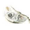 FARO DERECHO 84001AJ100 