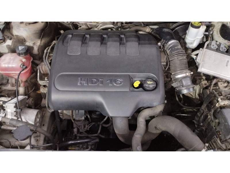 MOTOR COMPLETO RHF 