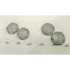 EMBELLECEDOR 5FA601171UPN 