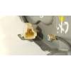 MOTOR LIMPIA TRASERO EG2167450C 8496000334 