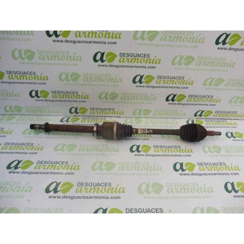 Recambio de transmision delantera derecha para renault clio iii expression referencia OEM IAM 8200499586  