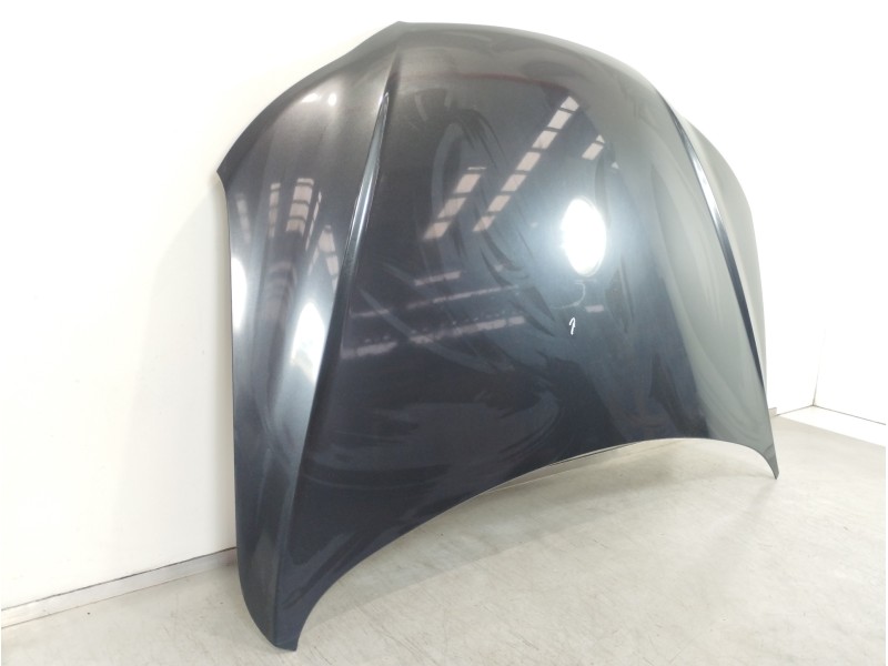 Recambio de capot para hyundai santa fe (bm) 2.2 crdi classic (2wd) referencia OEM IAM 664002B030  