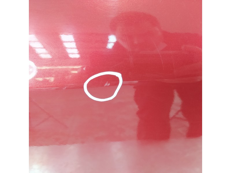 Recambio de puerta trasera izquierda para renault laguna iii expression referencia OEM IAM 821130001R  