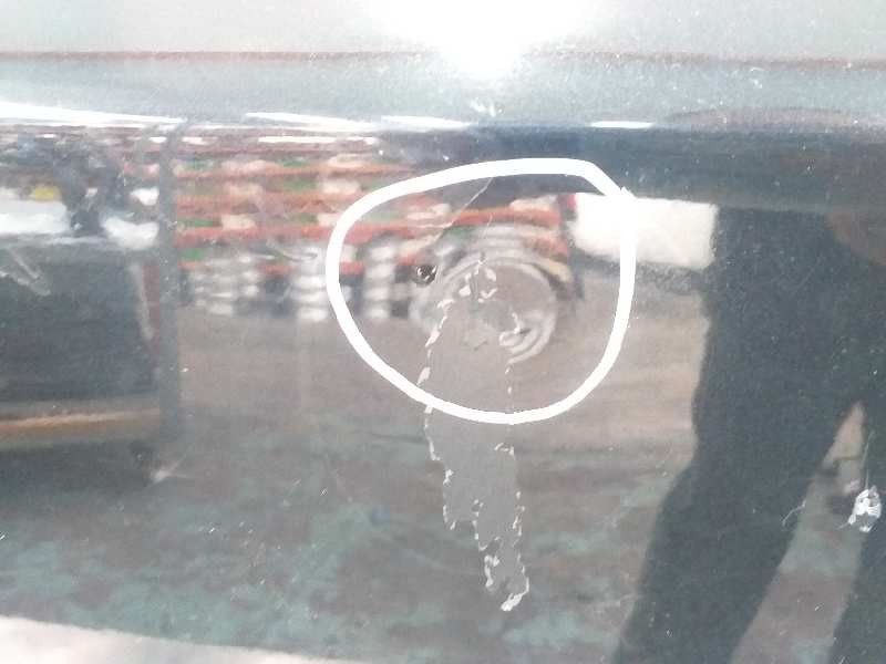 Recambio de puerta trasera derecha para bmw x3 (e83) 2.0d referencia OEM IAM 41003449338  