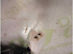 Recambio de cerradura maletero / porton para mazda 6 berlina (gg) 2.0 crtd 136 active (5-ptas.) referencia OEM IAM    2