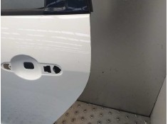 Recambio de puerta trasera izquierda para renault scenic iii emotion referencia OEM IAM    2