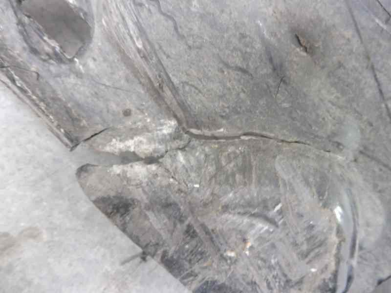 Recambio de faldon lateral para mercedes-benz clase clk (w207) coupe 350 cgi blueefficiency referencia OEM IAM   