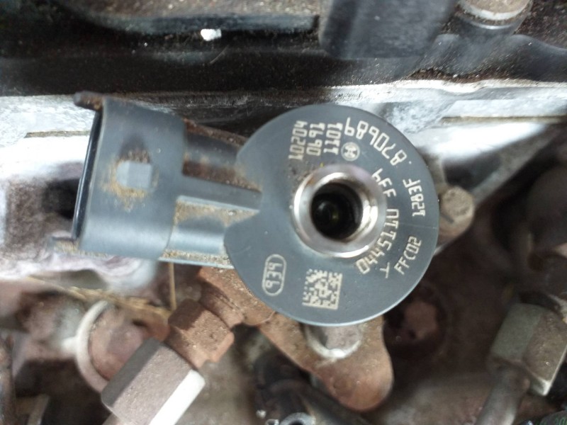 Recambio de inyector para citroën c3 selection referencia OEM IAM 0445110399  