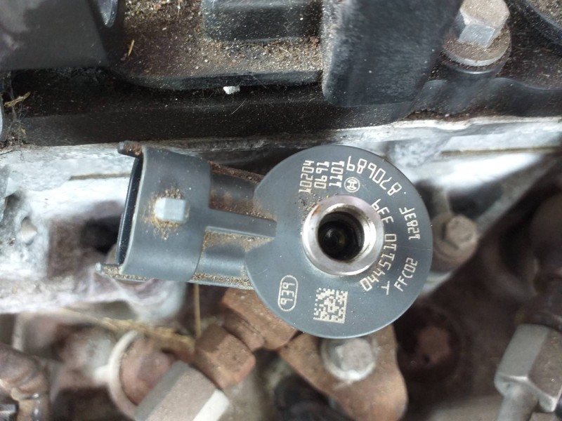 Recambio de inyector para citroën c3 selection referencia OEM IAM 0445110399  