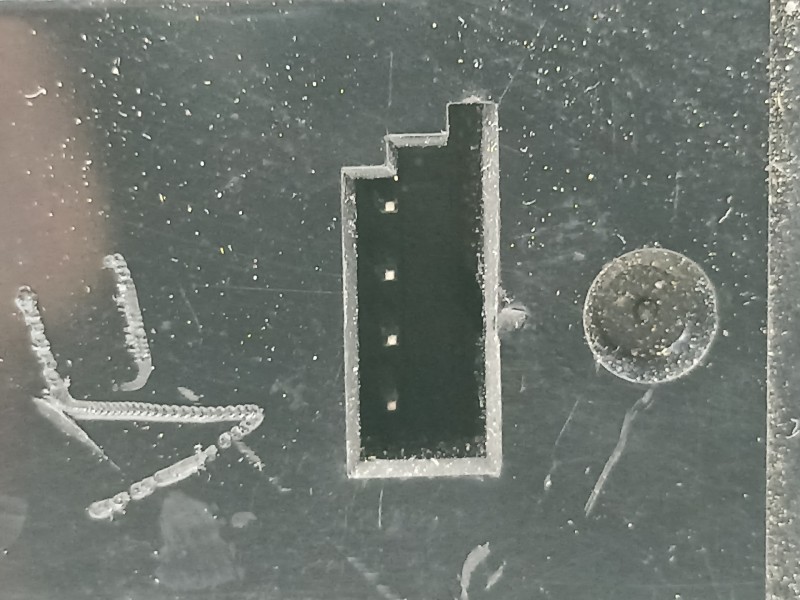 Recambio de mando elevalunas delantero izquierdo para bmw serie 5 berlina (e60) 530d referencia OEM IAM 61316951904  