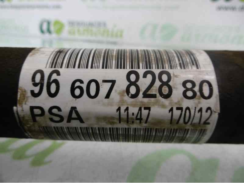 Recambio de transmision delantera derecha para citroën berlingo cuadro l2 referencia OEM IAM 9660782880  
