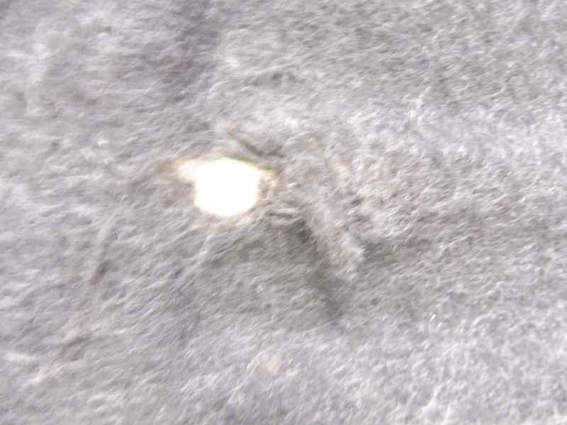 Recambio de bandeja trasera para peugeot 307 berlina (s2) xs referencia OEM IAM   