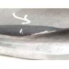 PARAGOLPES DELANTERO 13300485 