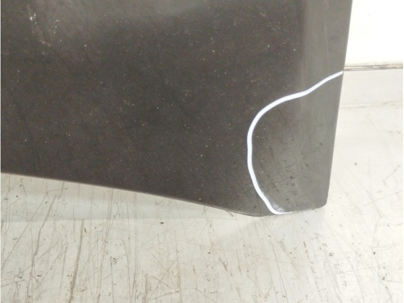 Recambio de capot para renault clio iii authentique referencia OEM IAM 7751476113  