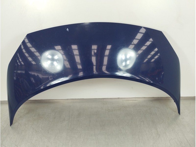 Recambio de capot para renault scenic ii grand emotion plus referencia OEM IAM   