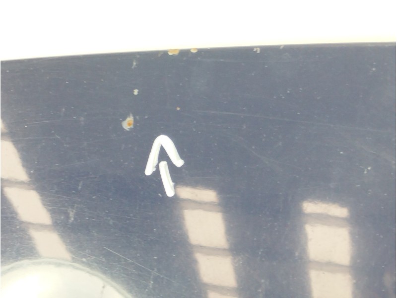 Recambio de capot para renault scenic ii grand emotion plus referencia OEM IAM   