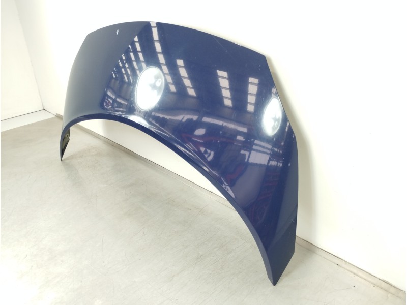 Recambio de capot para renault scenic ii grand emotion plus referencia OEM IAM   