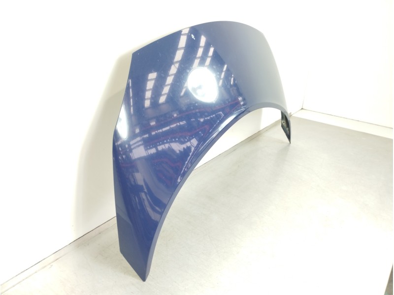 Recambio de capot para renault scenic ii grand emotion plus referencia OEM IAM   