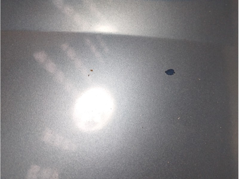 Recambio de capot para renault trafic combi (ab 4.01) 1.9 diesel referencia OEM IAM   