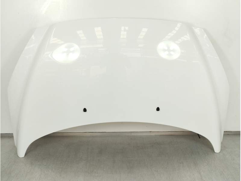 CAPOT 7901P6 