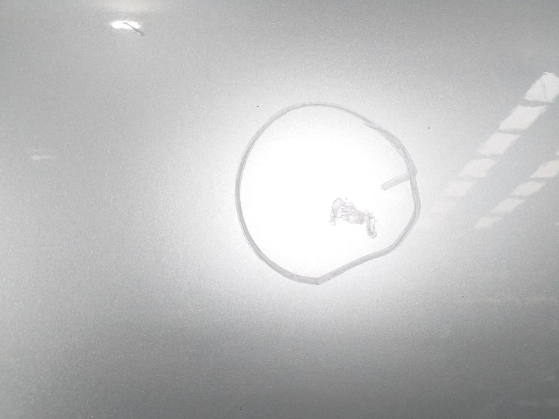 Recambio de puerta delantera derecha para audi a6 berlina (4f2) 3.0 tdi quattro (165kw) referencia OEM IAM 4F0831052F  