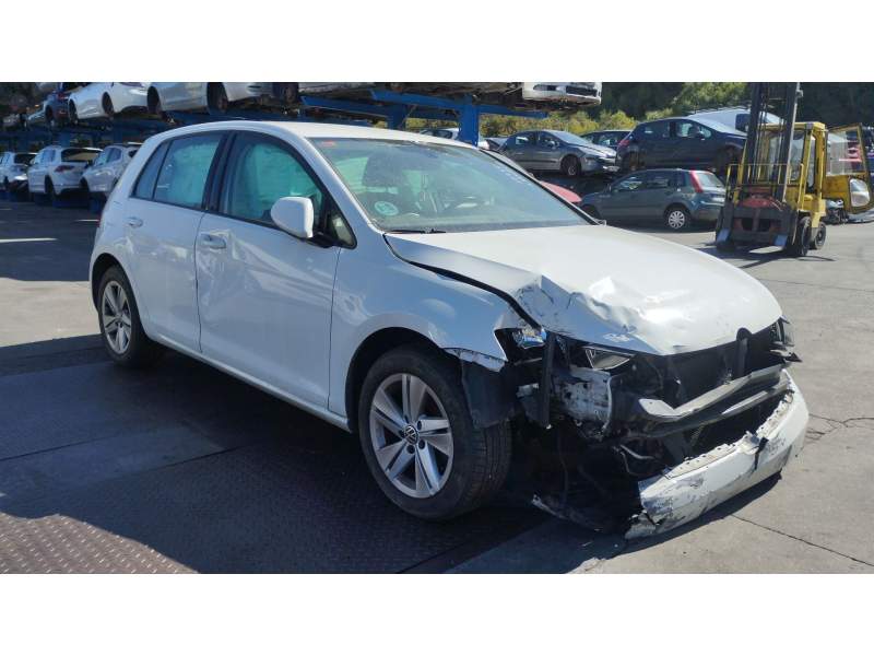 volkswagen golf vii (5g1, bq1, be1, be2) del año 2019