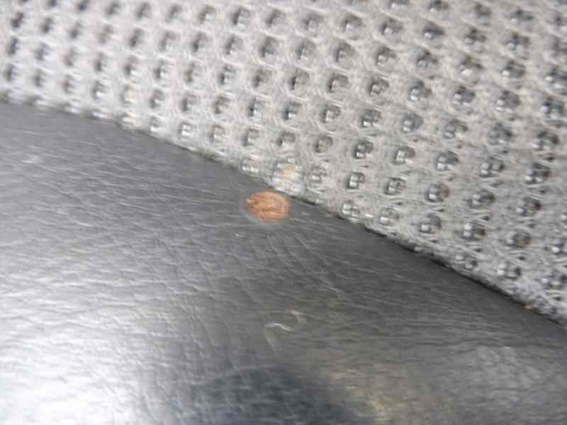 Recambio de juego asientos completo para peugeot 308 gt referencia OEM IAM   