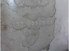 Recambio de bomba direccion para seat ibiza (6k1) sport referencia OEM IAM 6Q0423156 6Q0423371  2