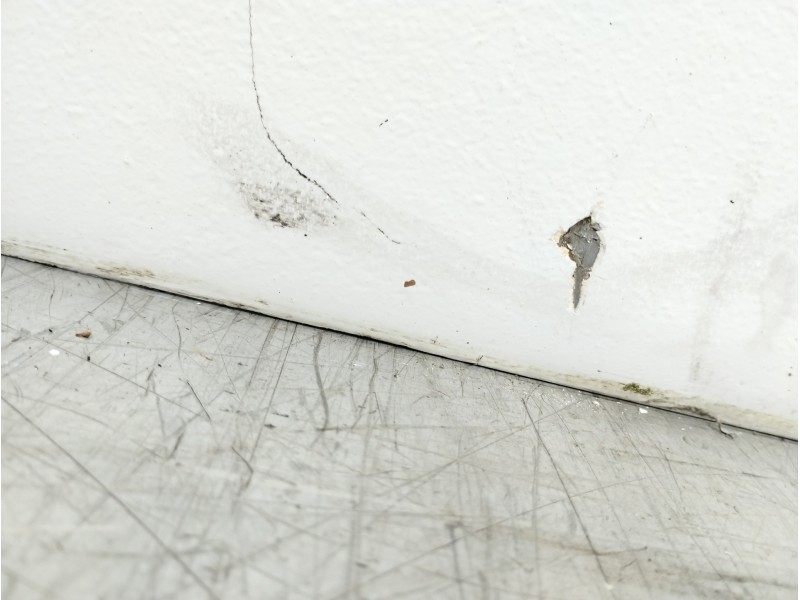 Recambio de puerta delantera derecha para renault 160.35 (4x2) camion frigorifico referencia OEM IAM MASCOTT  